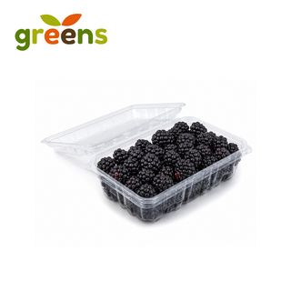 Greens Mora Clamshell 12 oz. 12.00 oz