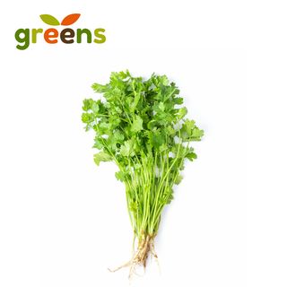 Greens Cilantro Manojo 4 oz