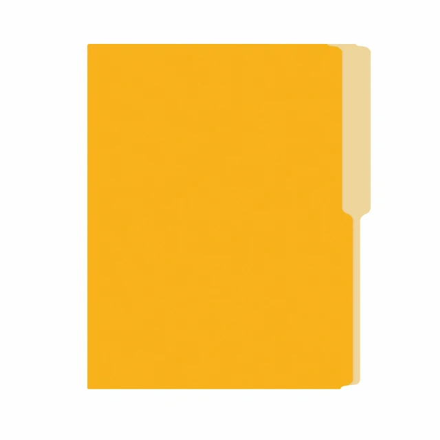 Irasa FOLDER FLASHFILE CARTA AMARILLO ORO (5X100) 0.00 un