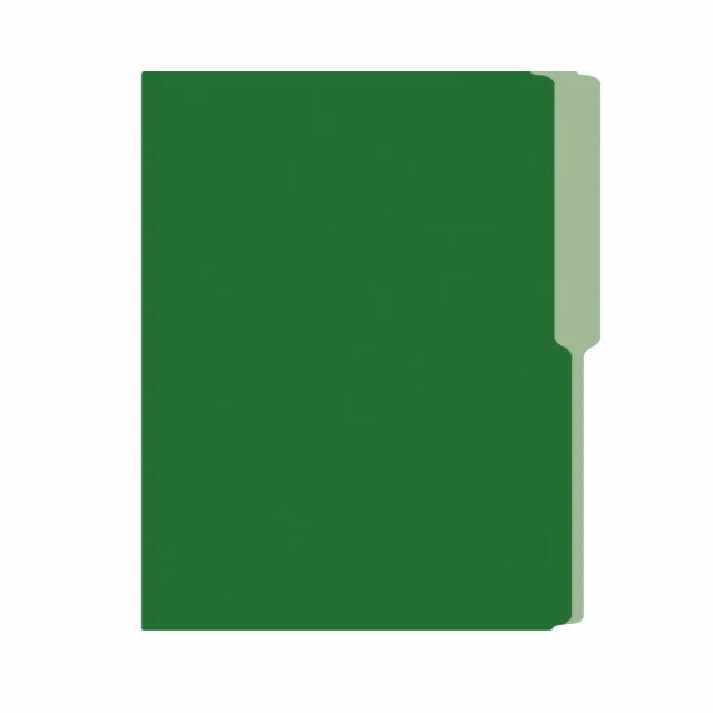 Irasa FOLDER FLASHFILE CARTA VERDE OBSCURO (5X100) 0.00 un