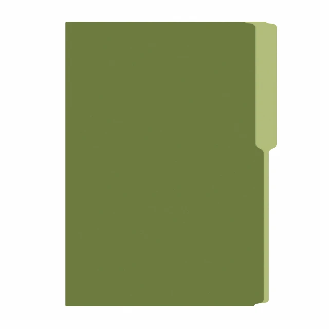 Irasa FOLDER FLASHFILE OFICIO VERDE OLIVO 0.00 un